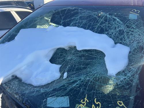 1-RotateNoneFlipNone66cce1c3-aba6-4cd1-a1bc-a7301ebe5bfd