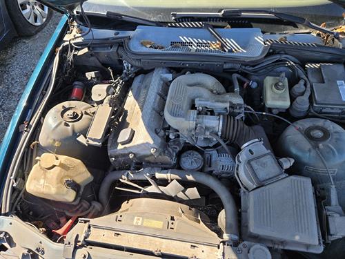 1-RotateNoneFlipNone66d65f64-733f-42a9-9b9c-74afe70c4c78