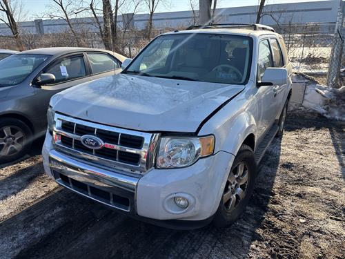 1-RotateNoneFlipNone699da60e-63bd-4500-8f11-eeacbeba938c