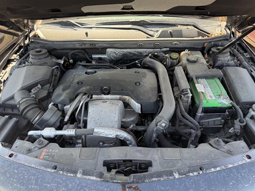 1-RotateNoneFlipNone69cc7be3-fc05-453b-815a-c849f5c83f00