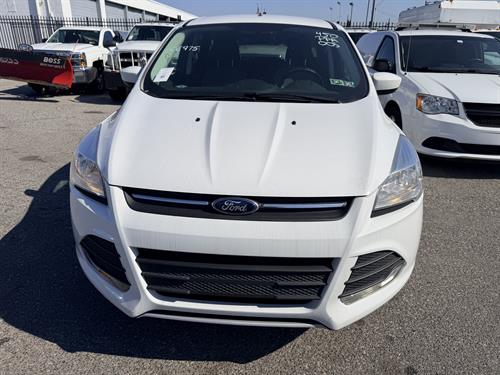 1-RotateNoneFlipNone69f898d6-9773-4f7b-819d-9eaee59cfa0d