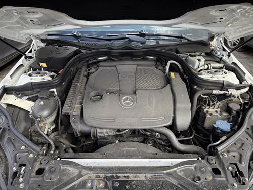 1-RotateNoneFlipNone6a30ee8f-7af4-4aad-8644-995895507bad