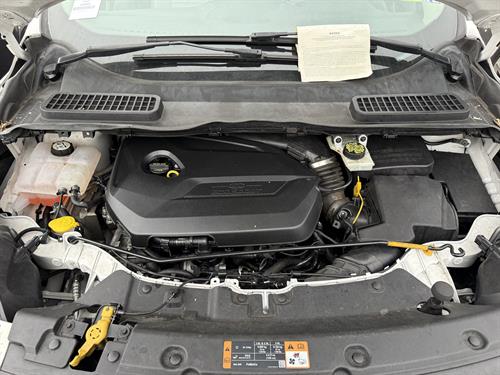 1-RotateNoneFlipNone6a98a376-0152-426c-b416-9d08f64e1285