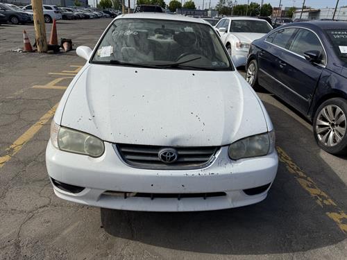 1-RotateNoneFlipNone6bd8f900-afd8-46c2-9781-45ebbb4bdaef