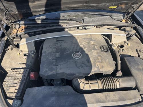 1-RotateNoneFlipNone6c8382e7-a049-4f46-84a5-7b4002c1d42f