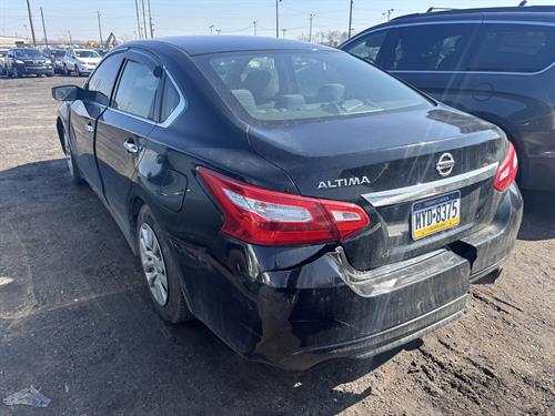 1-RotateNoneFlipNone6ca241f8-922d-445f-b8c8-9e66b2189af6