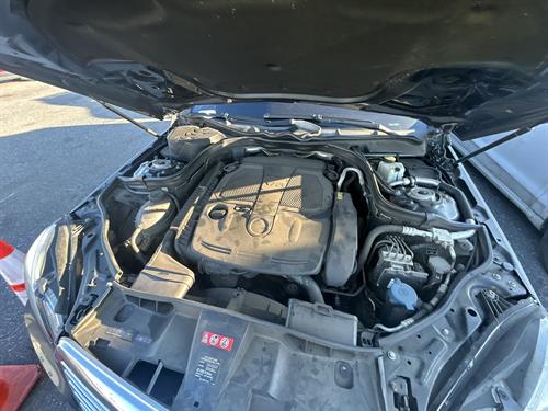 1-RotateNoneFlipNone6d1d7b11-c1b2-4bbe-9e96-74a96d77ffbe