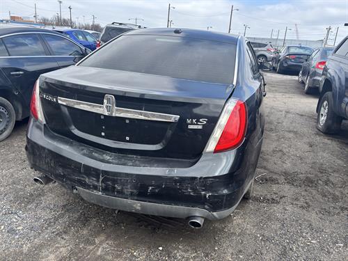 1-RotateNoneFlipNone712a25f8-7e83-40e6-bf2f-7afa2bd997a8