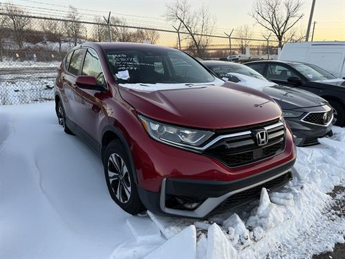 1-RotateNoneFlipNone7273912b-b0c3-4f6f-93b2-c4bfe93fd26b