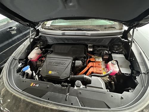 1-RotateNoneFlipNone72c3c1a2-5014-4f49-8e69-0d6e843d7021