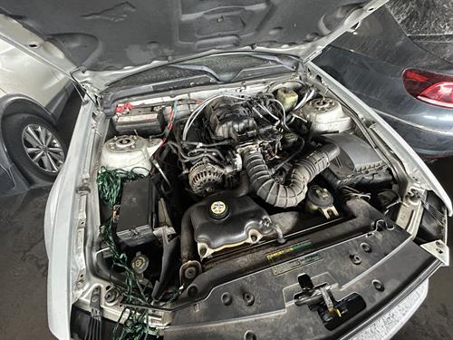 1-RotateNoneFlipNone736964b5-1fc8-420b-944c-724a7e429ce9