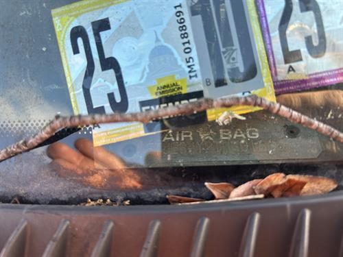 1-RotateNoneFlipNone737032b8-7873-4f43-8218-0f67306b0436