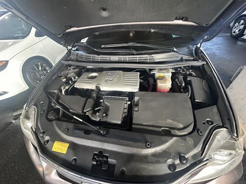 1-RotateNoneFlipNone752498e9-7e62-4f86-8e48-846544419e1e