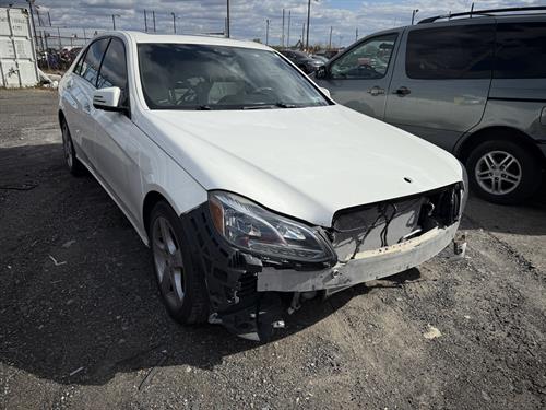 1-RotateNoneFlipNone760b71d6-7f75-4a31-8be0-6862a2a3edb4