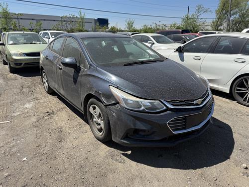 1-RotateNoneFlipNone768c86f6-1931-4530-8a81-7107e88a6f21