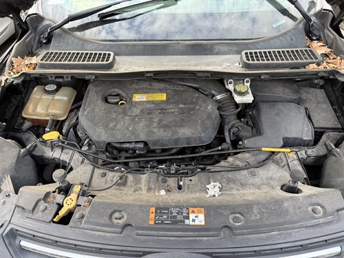 1-RotateNoneFlipNone774eeb01-f12f-4398-8428-8d48d083d902