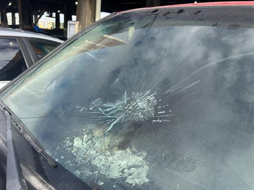 1-RotateNoneFlipNone77b751dd-fc2f-4f17-96fb-580d8c23fa10