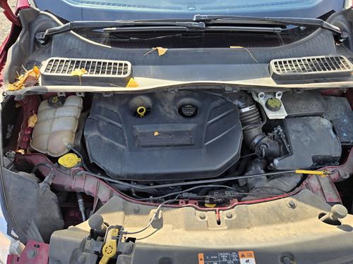 1-RotateNoneFlipNone77eccbc3-5e80-491a-ba2a-e6cb91a87536