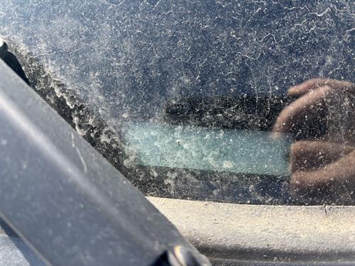 1-RotateNoneFlipNone781dd0d6-f771-4eb1-b9f5-e6e4b33144fa