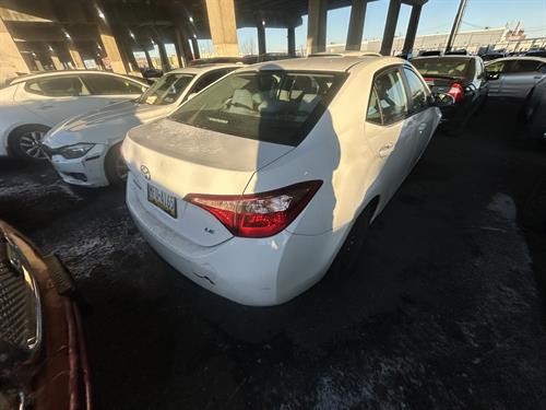 1-RotateNoneFlipNone7838c753-b402-4e6b-addf-eef659aca629