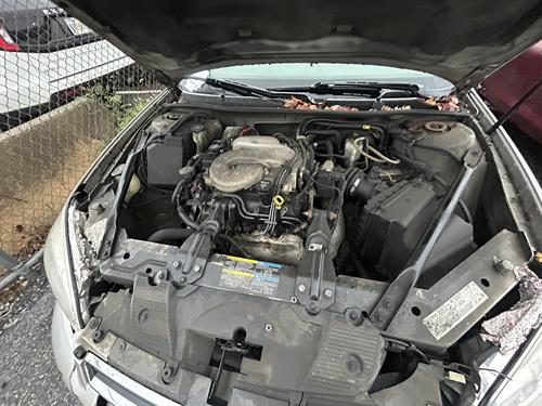 1-RotateNoneFlipNone7888150b-de86-4ea4-aa89-0232ca4a54b5