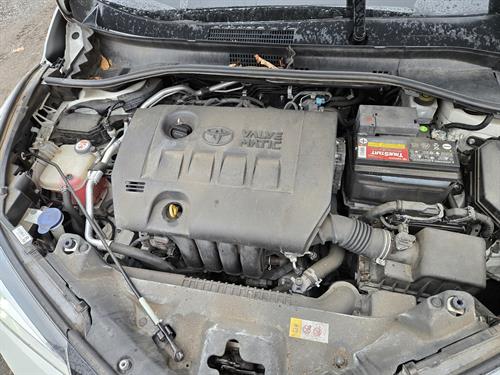 1-RotateNoneFlipNone790e9017-d666-40a6-8c6c-c6784336a97d