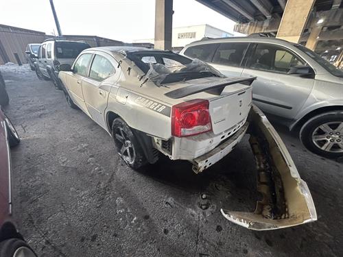 1-RotateNoneFlipNone7a4b60d4-03bc-4dae-afe4-0f434d4e15a4