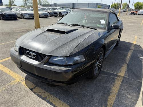 1-RotateNoneFlipNone7c5f5524-bbae-495f-b4fd-19d079e60b3e