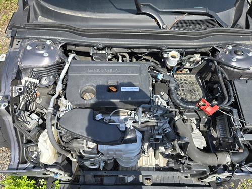 1-RotateNoneFlipNone7c7b33dd-0f8e-4738-9463-b0d16fe4bb1f