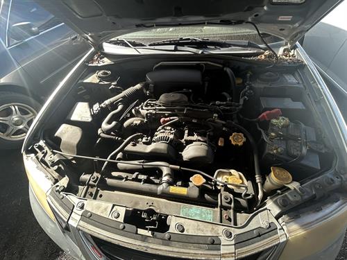 1-RotateNoneFlipNone7eba18cb-571f-470a-968b-f4f981c97b1f