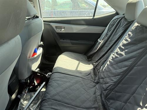 1-RotateNoneFlipNone7ef07ef0-15ca-4a52-aedb-c4cb318ea5f8