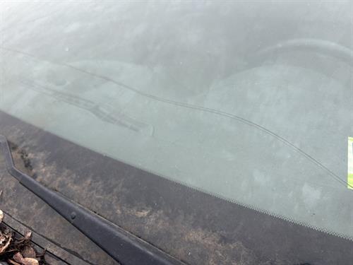 1-RotateNoneFlipNone7f377d94-fbfd-4fd6-a45f-d99e8016c62e