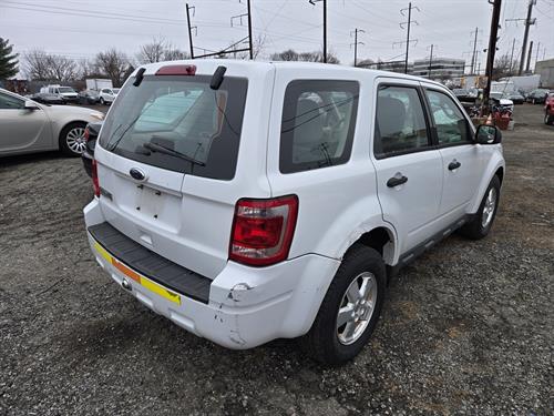 1-RotateNoneFlipNone7ff28381-f9fd-4054-adc3-cfa76820e8f4