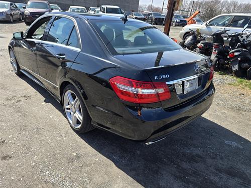 1-RotateNoneFlipNone81dce5b8-d796-4411-8178-c03f0f8ebeb4