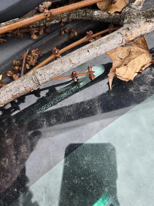 6-Rotate270FlipXY8224037c-f2e0-4ddf-b6ac-dc846c216170