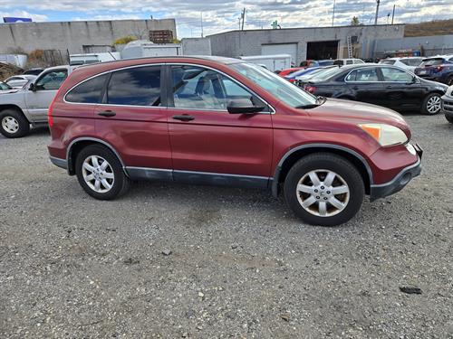 1-RotateNoneFlipNone83e9adc3-d787-4445-87d0-3f3a16c5c664