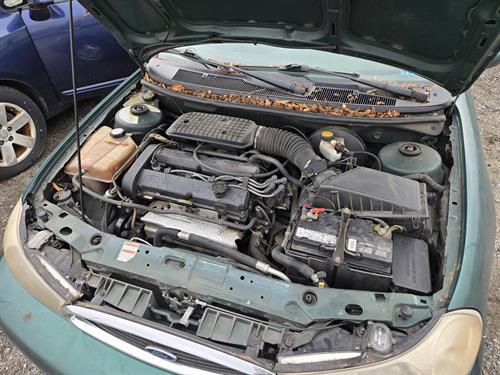 1-RotateNoneFlipNone85ab6d33-af51-4c1e-9392-292f49f74061