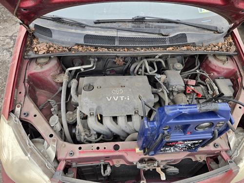 1-RotateNoneFlipNone8787194a-1bc9-4f0c-a485-ac0ed2dde46f