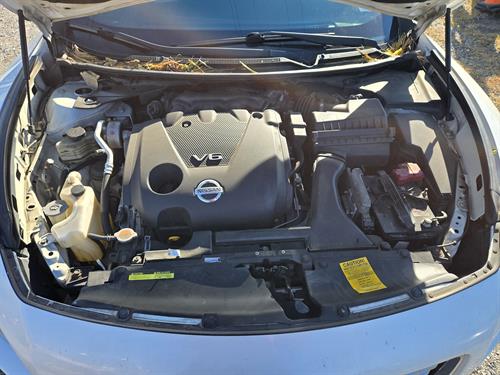 1-RotateNoneFlipNone87e1e258-93f9-43f9-8a71-fe29911d3078