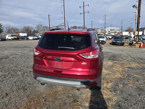 1-RotateNoneFlipNone87f8fb7c-8cae-42e9-b1d4-e4feb6fe78db