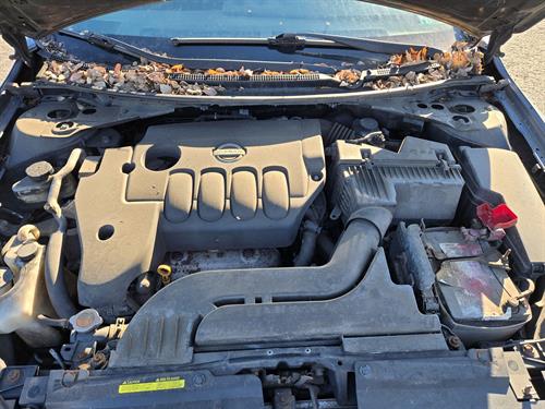 1-RotateNoneFlipNone895bc5b1-f227-4bb0-b068-73beb2dc3977