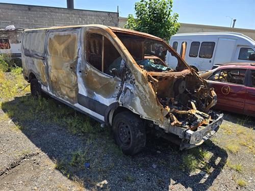 1-RotateNoneFlipNone8a2fc4a2-3931-4009-98a9-8d4abde257fd