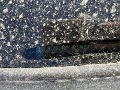 1-RotateNoneFlipNone8b79b29f-5ad5-49f4-bb3a-7e7e4db655d9