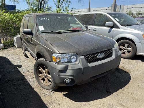 1-RotateNoneFlipNone8dfeff9d-e972-4913-a156-387464c93e5d