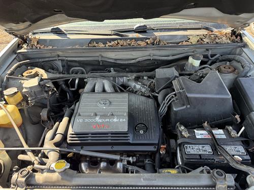 1-RotateNoneFlipNone8f08ba20-fe5c-4533-ae64-556cbbb84e7b