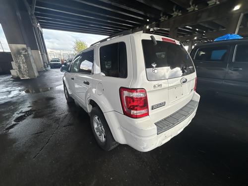 1-RotateNoneFlipNone8ffef890-1e8b-4c00-b2ab-b25de94b466b