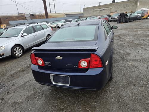 1-RotateNoneFlipNone9003b347-c884-450a-8a5d-6a114da47187