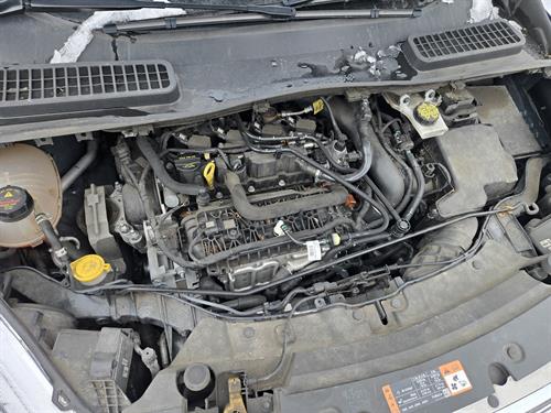 1-RotateNoneFlipNone918d3471-b05b-4c3c-a5c2-83adecd64989