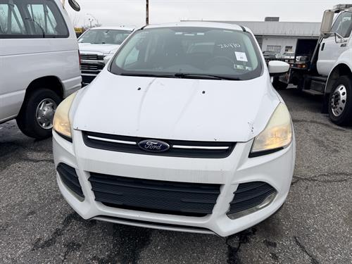 1-RotateNoneFlipNone93d2b165-f82b-4205-b1e4-36d5022a556a