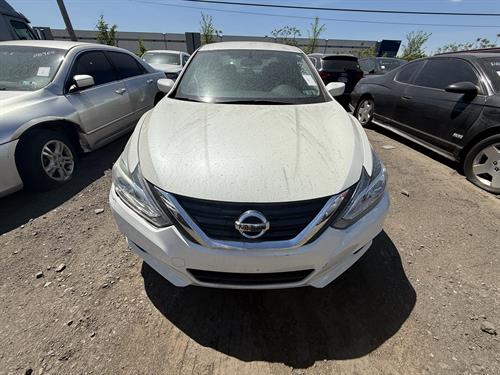 1-RotateNoneFlipNone94f7fec0-3f6c-4fb5-bc42-e91084c024da